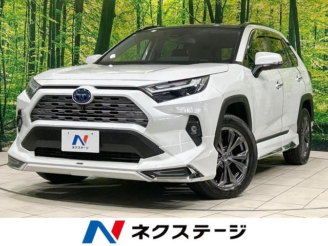 RAV4 2.5 ハイブリッド G E-Four 4WD （6AA-AXAH54）