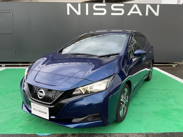 リーフ  X Vセレクション