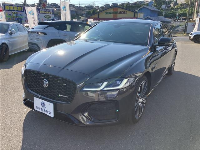 XFRダイナミック ブラック 2.0 P250