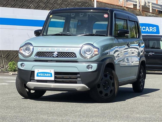 ハスラータフワイルド