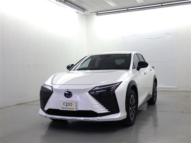 RZ300e バージョンL