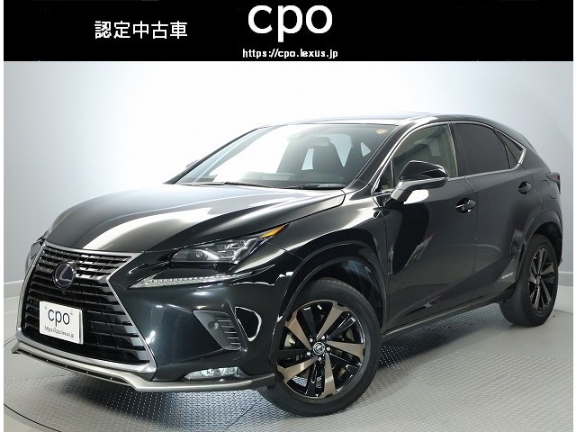 NX300hスパイス&シック