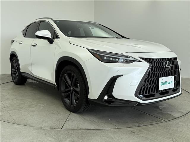 NX450hプラス バージョンL 4WD本革シート