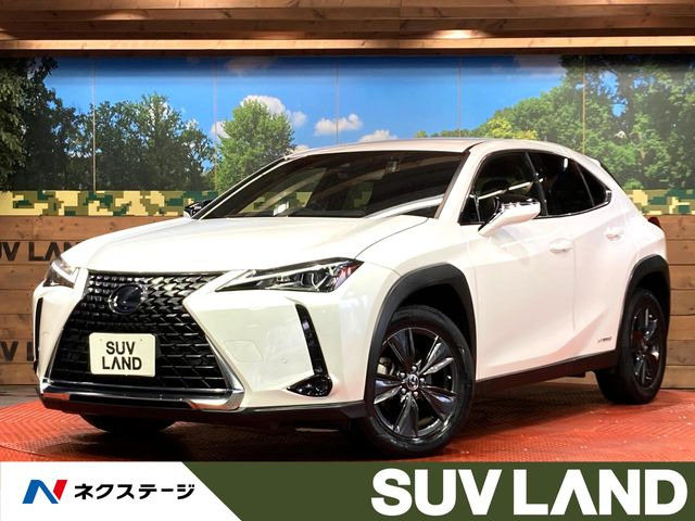 UX250h バージョンC