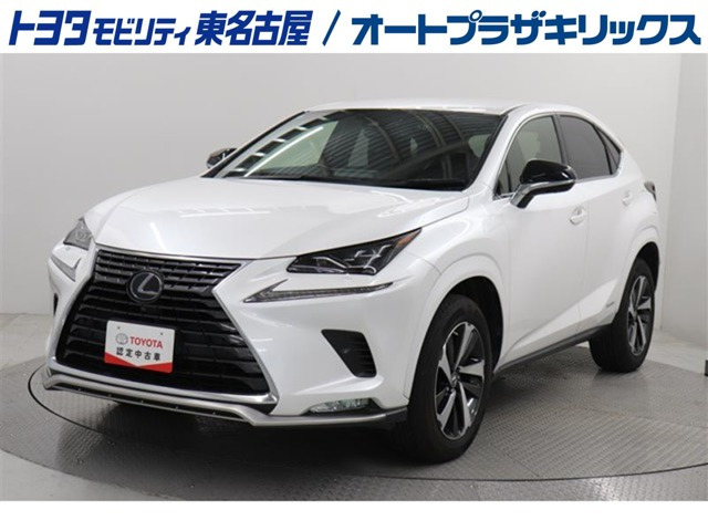 NX300hスパイス&シック