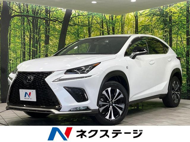 NX 300 Fスポーツ 