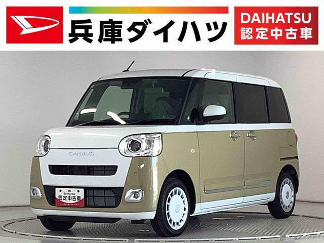 ムーヴキャンバス ストライプス G