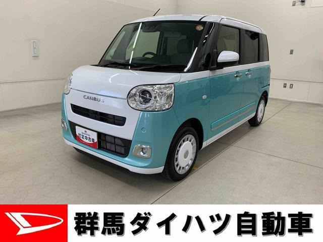 ムーヴキャンバス  ストライプス G