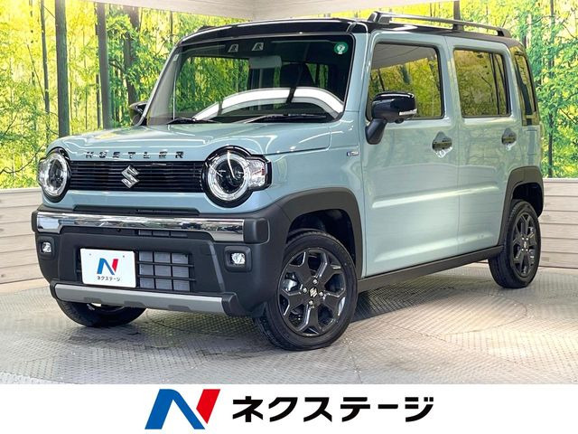 ハスラー タフワイルド 