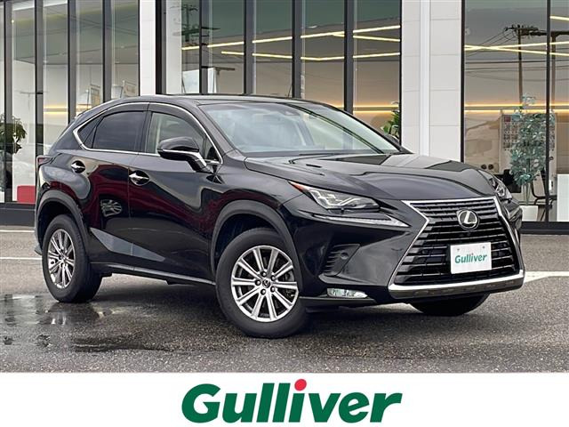 NX300 Iパッケージ 4WD本革シート