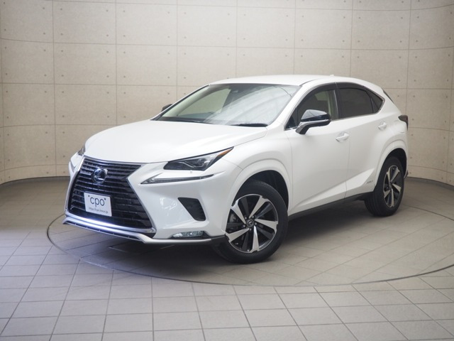 NX300hスパイス&シック