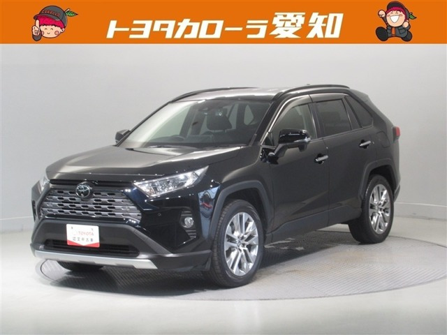 RAV4 2.0 G Zパッケージ 4WD（6BA-MXAA54）