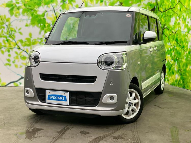 ムーヴキャンバス ストライプス G