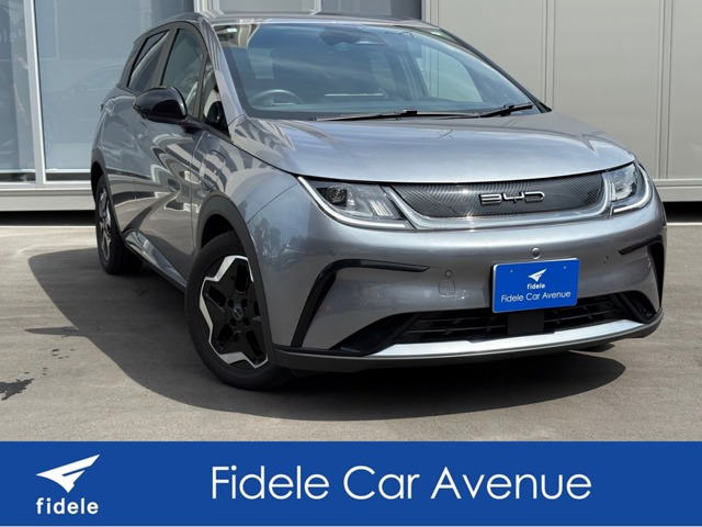 ドルフィンベースモデル