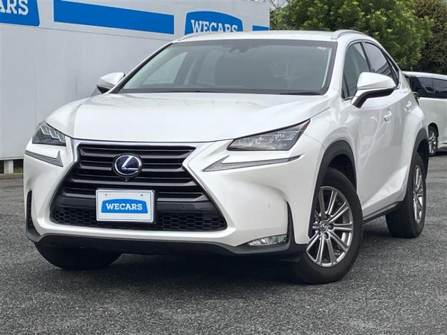 NX300h Iパッケージ