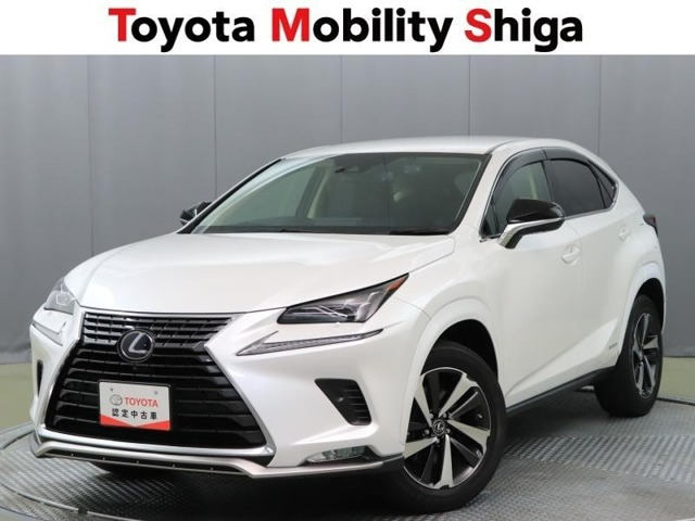 NX300hスパイス&シック