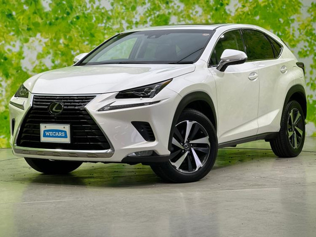 NX300 Iパッケージ 4WD