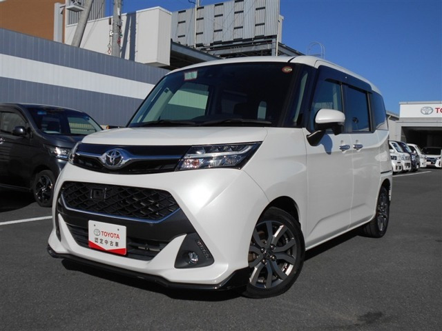 タンク 1.0 カスタム G-T