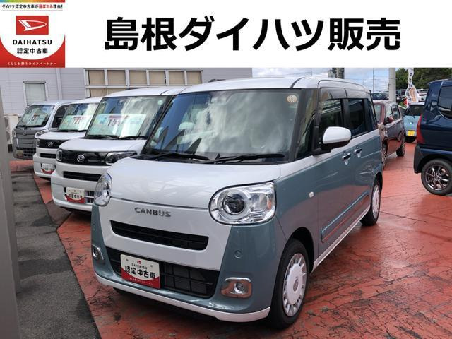 ムーヴキャンバス  ストライプス G