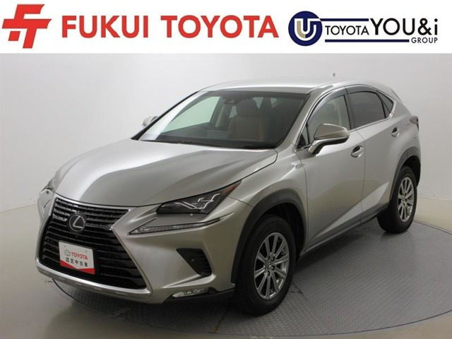 NX300 Iパッケージ 4WD