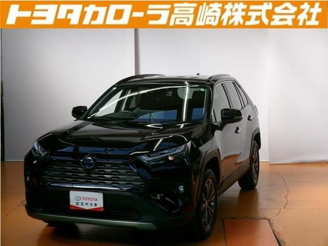 RAV4 2.5 ハイブリッド G E-Four 4WD （6AA-AXAH54）