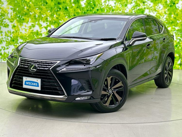 NX300h バージョンL 4WD