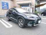 きれいなグラファイトブラックガラスフレークの車両です。