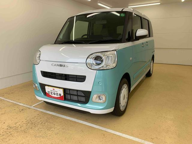 ムーヴキャンバス  ストライプス G