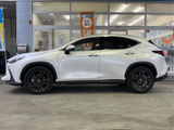 NX 250 バージョンL 4WD 
