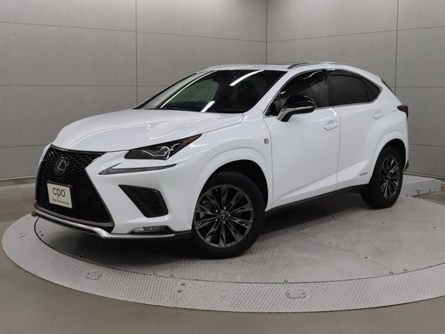 NX300h アーバンスタイルクール&ブライト