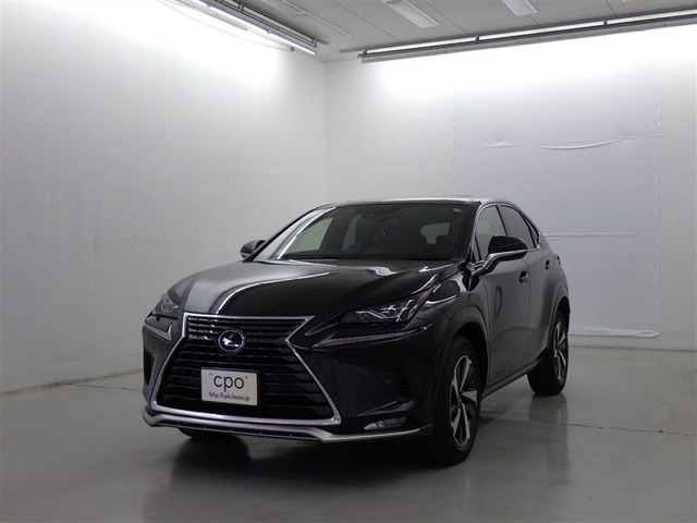 NX300スパイス&シック