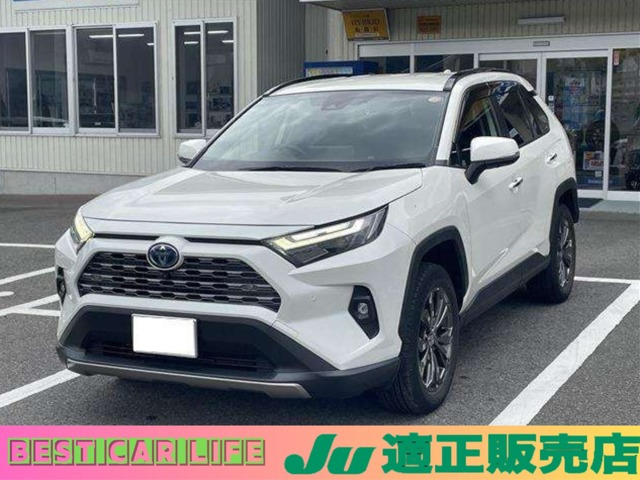 RAV4 2.5 ハイブリッド G E-Four 4WD （6AA-AXAH54）
