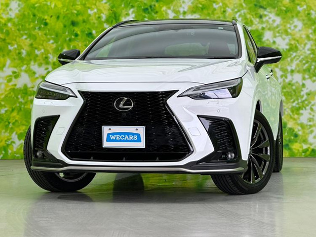 NX350h Fスポーツ