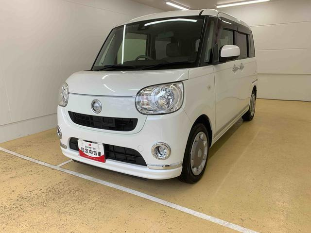 ムーヴキャンバス X リミテッド メイクアップ SAII 