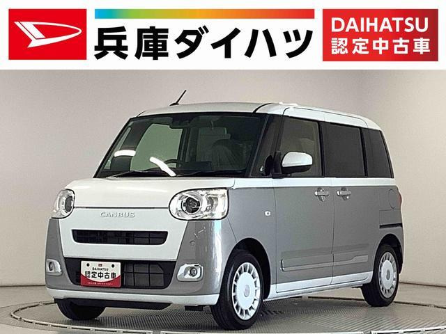 ムーヴキャンバス ストライプス G