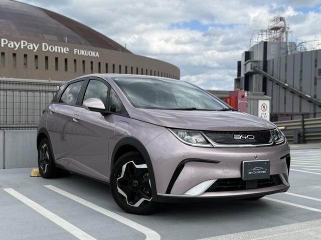 ドルフィンベースライン