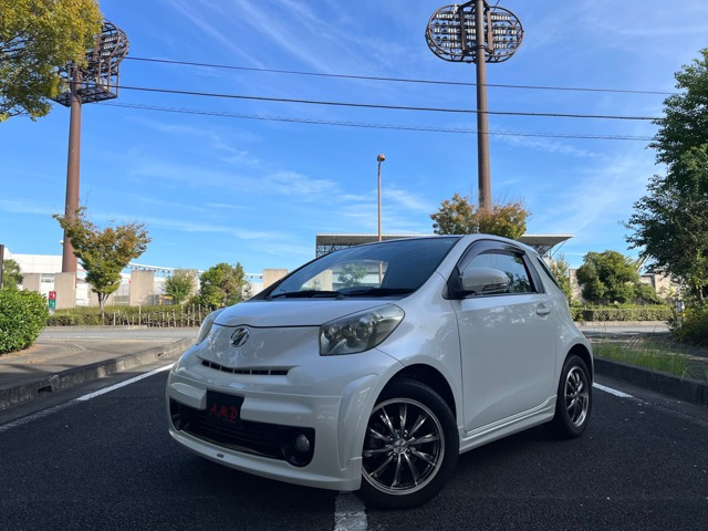 iQ 1.0 100G レザーパッケージ 