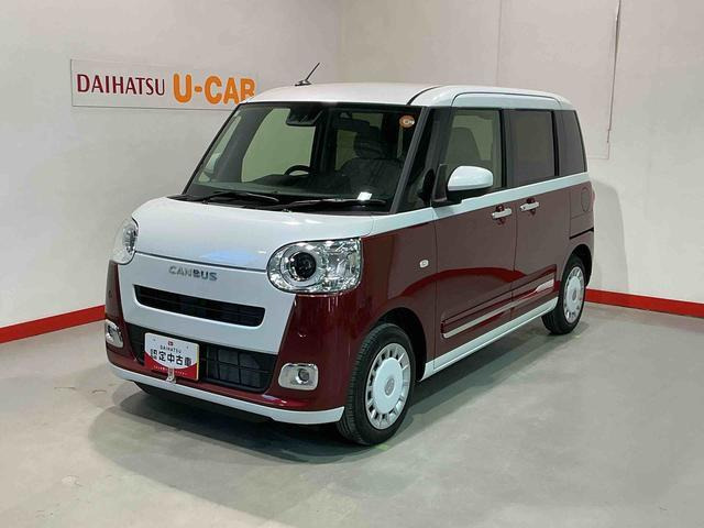 ムーヴキャンバス ストライプス G