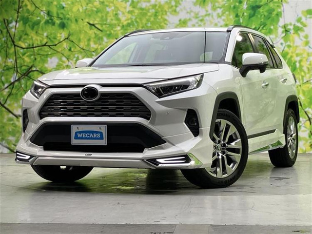 RAV42.0 G Zパッケージ 4WD