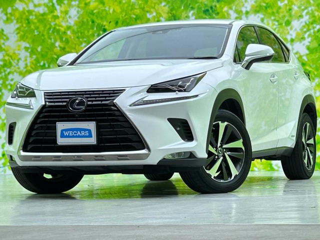 NX300h バージョンL