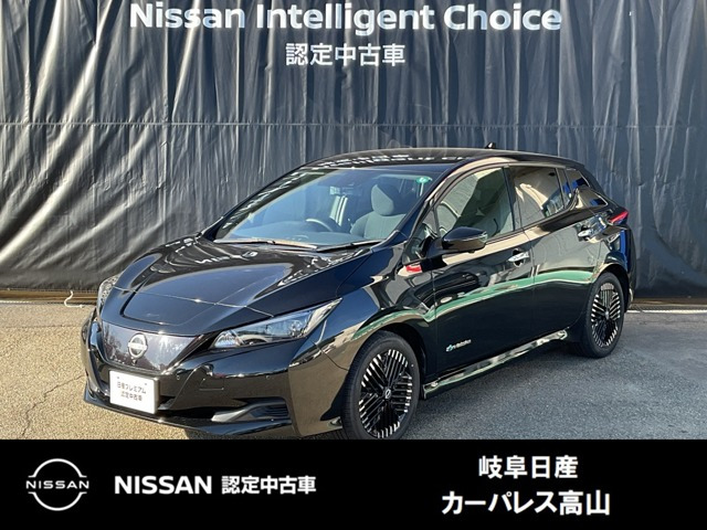 リーフ  X Vセレクション