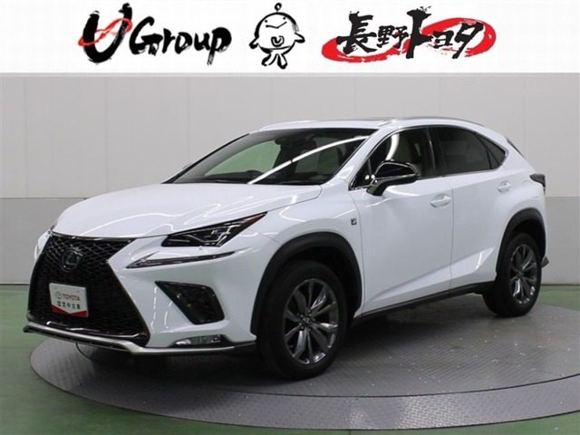 NX 300 Fスポーツ 