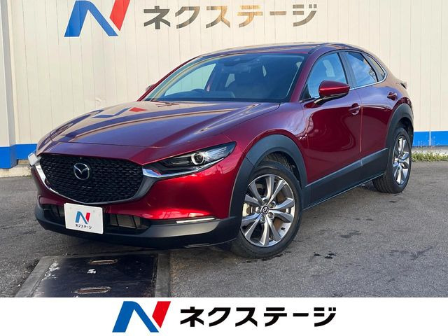CX-302.0 20S