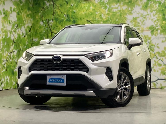 RAV42.0 G Zパッケージ 4WD