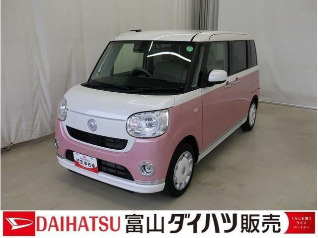 ムーヴキャンバス G メイクアップ リミテッド SAIII 