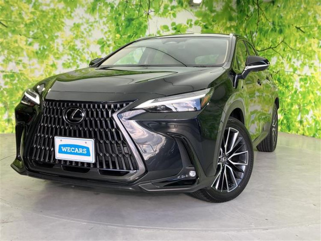 NX350h バージョンL