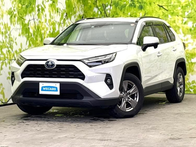 RAV42.5 ハイブリッド X