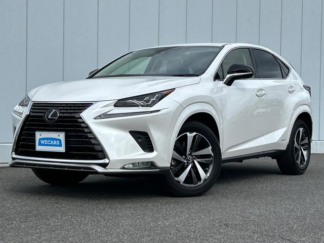 NX 300h スパイス&シック 