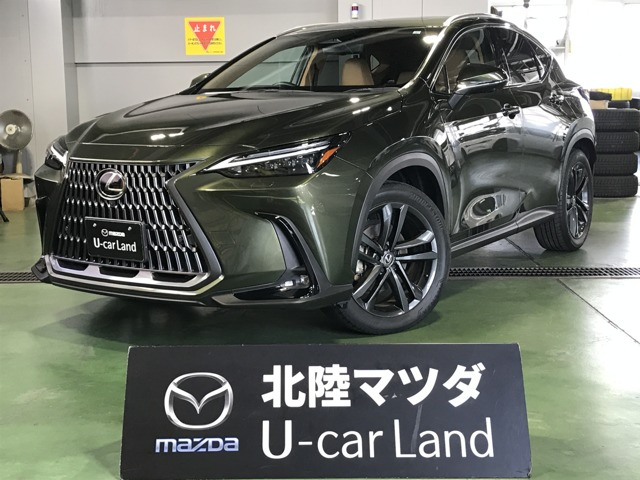 NX350h 4WD