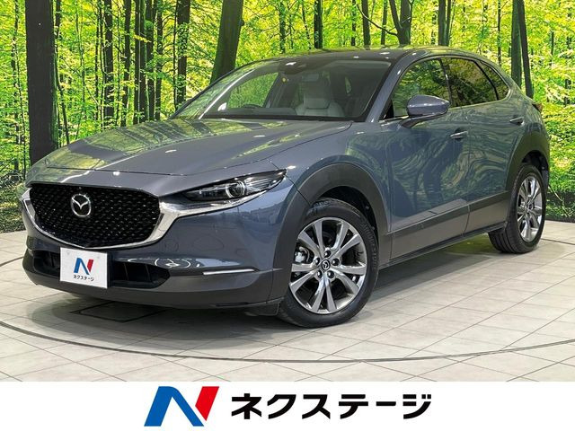 CX-302.0 X プロアクティブ ツーリングセレクション